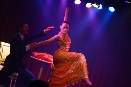 Rojo Tango Dinner and Tango Show with Private Transfers