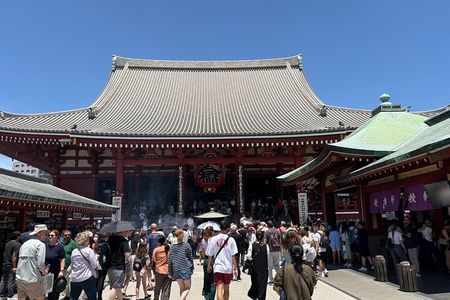 Tokyo Half-Day Private Tour by Car with Local Guide