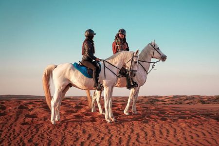 Doha Horseback Riding Adventure in Desert with Transfers