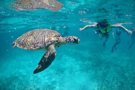 Mayan snorkeling (Akumal-Cenote-Caverna)