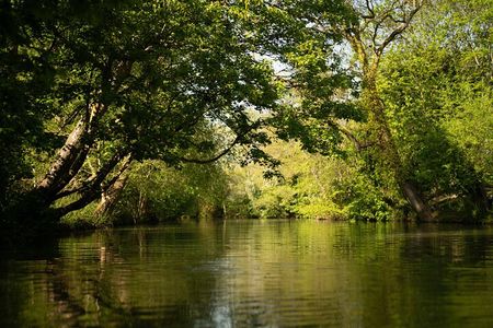 Private | Oxford University Punting Tour
