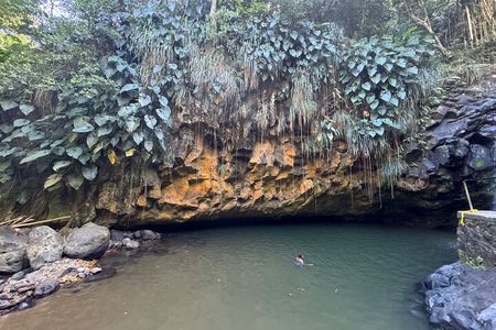 Half-Day Grenada Tour With Easy