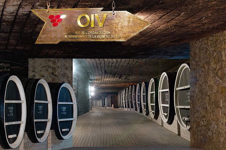 Visit Milestii Mici the Largest Wine Cellar in the World