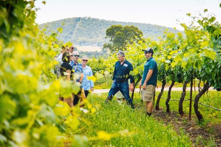 Small-Group Hunter Valley Wine Tasting Tour from Sydney