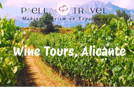 Alicante; Wine Tour Wine Tasting, Food and Transfer