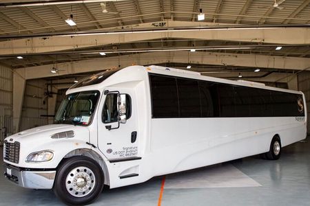 Luxury Minibus Chicago City Tour