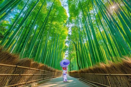 From Osaka: Kyoto Must-see Spots & Nara Park Sightseeing Day Tour