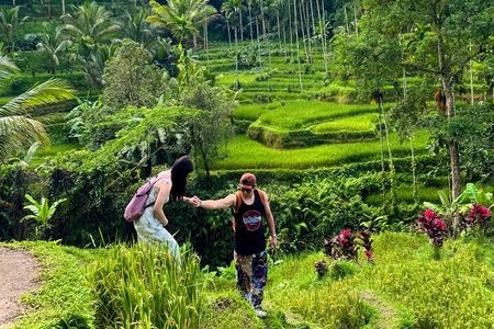 Best of Ubud: Private Tour - Waterfalls, Swing & Rice Terraces