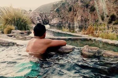 Mendoza Wine and Thermal Baths Tour with Private Transport