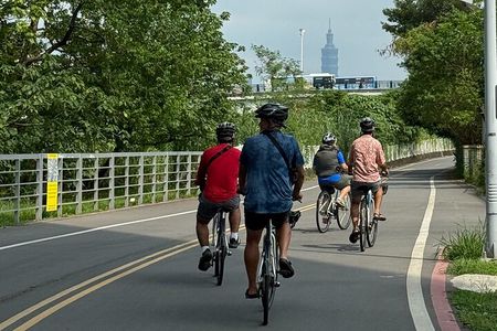 4 Hour Afternoon Cycling City Tour North with Snack