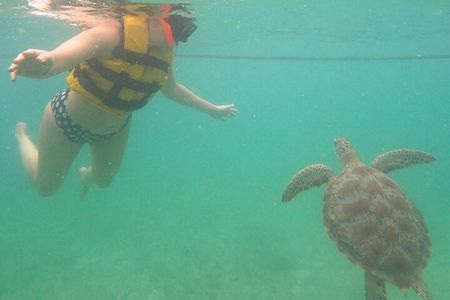 Turtle Snorkeling in Akumal