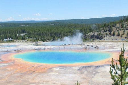 San Francisco to Yellowstone and Las Vegas 7-Day Tour