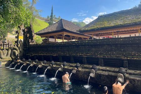 Ubud Tour Monkey Forest, Rice terrace, spring water temple & more