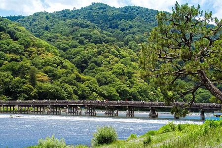 Kyoto: Arashiyama Bamboo Forest, Monkeys, Matcha & Temple Tour