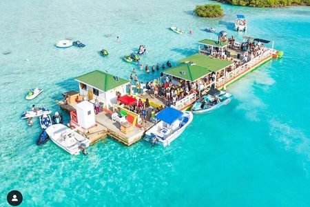 Noahs Ark Catamaran Trip 