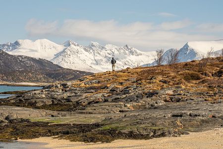 Arctic Roadtrip: fjords with scenic picnic | Private