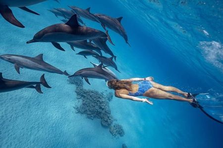 Shaab Samadai, Snorkeling Adventure & Coral Reef at Marsa Alam