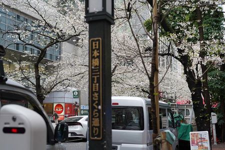Tokyo Private Walking Tour
