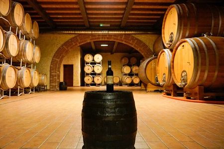 From the Cluster to the Chalice : A Journey into the Heart of Wine in Bardolino