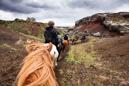 Red Lava Horse Riding Tour From Reykjavik