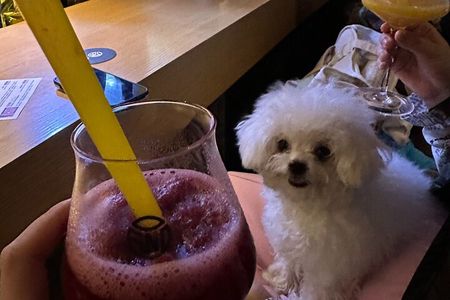 Beijing Nightlife with a Local Friend Bars Social and Culture