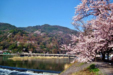 From Nagoya Kyoto Day Tour with Kobe Beef Shabu Shabu Lunch