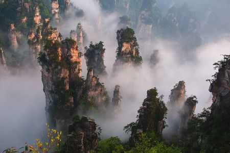 1-Day Private Tour to ZJJ National Forest Park & Avatar Mountain