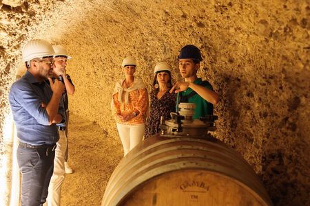 GroMonte: Cave, Wine and History in Montefiore dell'Aso