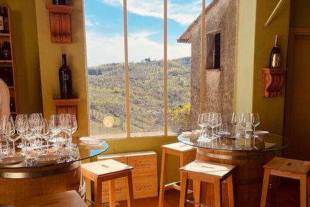 Supertuscan Experience in Chianti Fiorentino