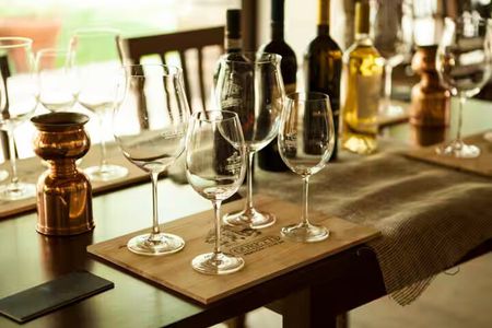 Umbria: Wine Tasting Tour with Regional Pairings near Perugia