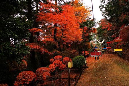 Tokyo: Mt. Takao Tour with Ramen and Tattoo-OK Hot Spring