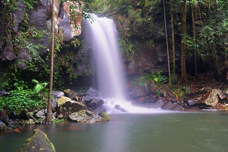 Koalas, Glow Worms & Kangaroos - Nature & Rainforest Walk