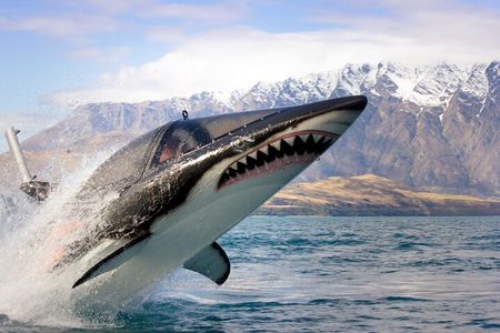 Queenstown Hydro Attack Shark Ride Adventure