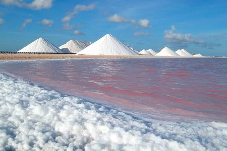 Small-Group Guided North & South Tour of Bonaire with Pick Up