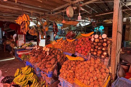 Dominican Roots: Unforgettable Cultural Adventure in Punta Cana