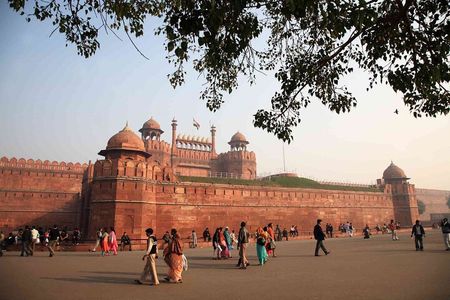 Discover Delhi — Half-Day or Full-Day Private Tour