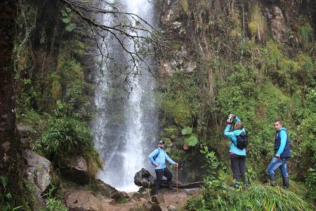 Cloud Forest & Waterfalls Half-Day Hike - 3 hours
