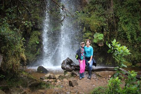 Cloud Forest & Waterfalls Half-Day Hike