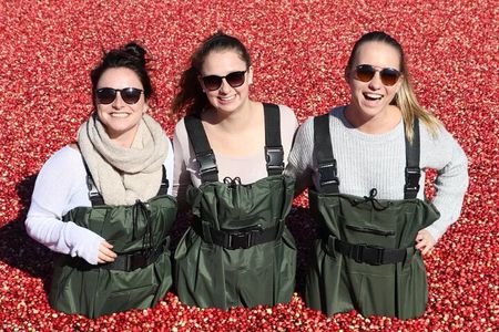 From Toronto: Cranberry Plunge and Hardy Lake Hike Adventure