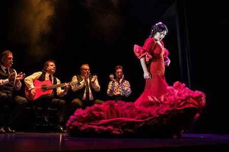 Authentic Flamenco Show at the Teatro Flamenco Granada