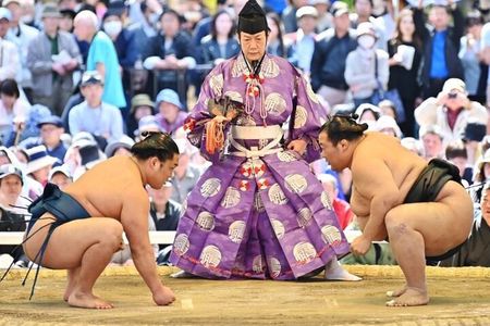 Official Sumo Tournament Ticket with Guided Experience