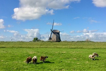 Amsterdam Private Tour Off the Beaten Path