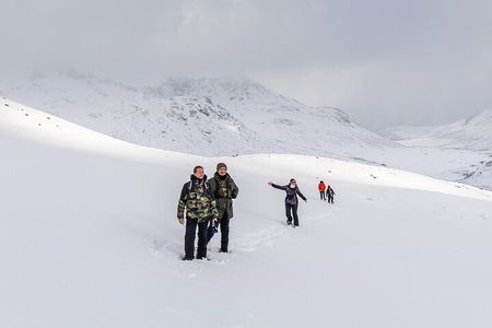 Tromsø: Arctic Landscapes Hiking / Snowshoeing Tour in the wild