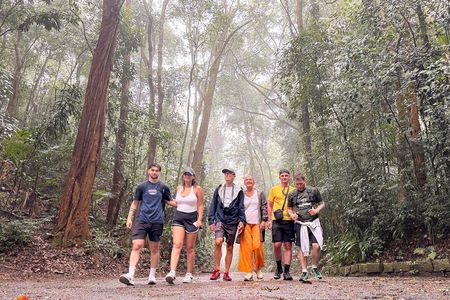 Tijuca Forest: Tour with Waterfalls and Caves