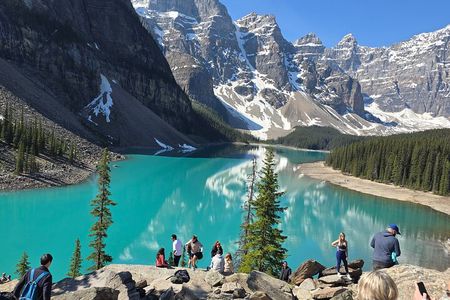 Moraine Lake and Lake Louise Half Day Tour