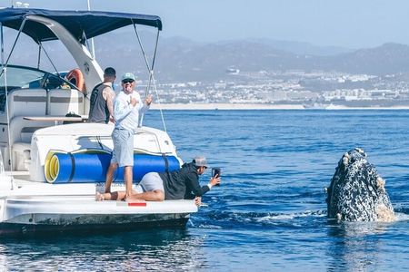 Whale Watching & Snorkeling Private Yacht Tour Cabo with Food & Drinks