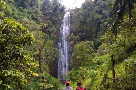 Day trip to materuni waterfalls and coffee tour from Moshi