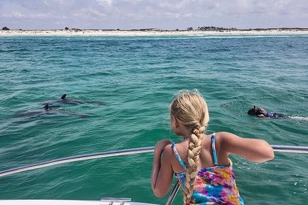 Private Swim with Dolphins And Snorkeling Tour