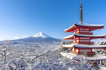 From Tokyo: Mount Fuji Sightseeing One Day Trip