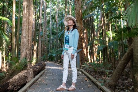 Small Group Waterfall Wetlands+ Skyrail All Inclusive from Cairns